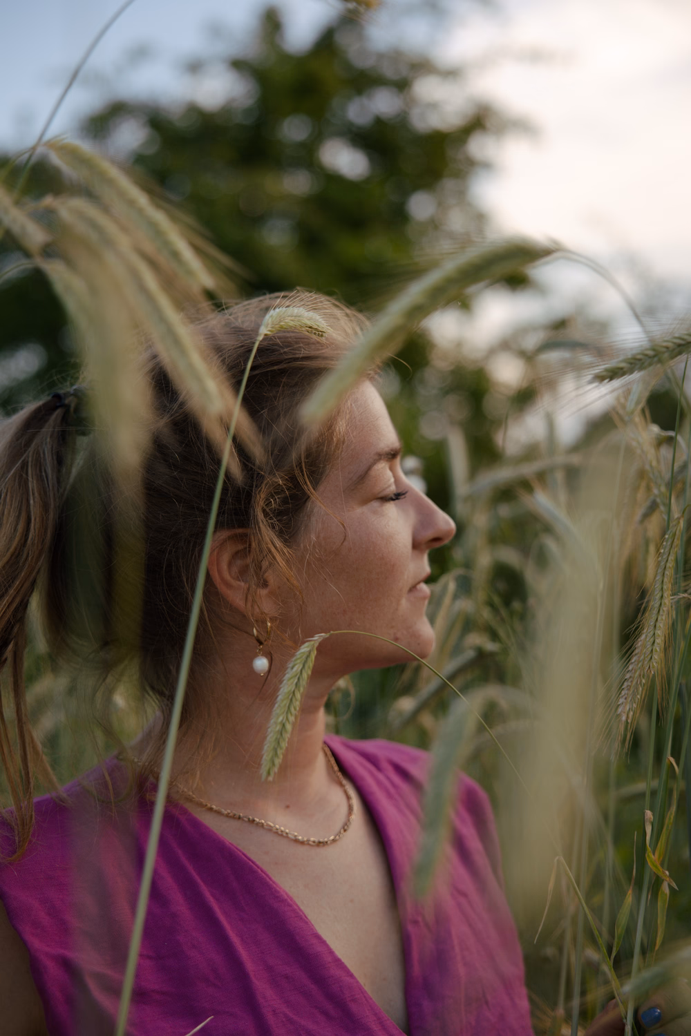 Golden Hour in the Straw Field • Image 2
